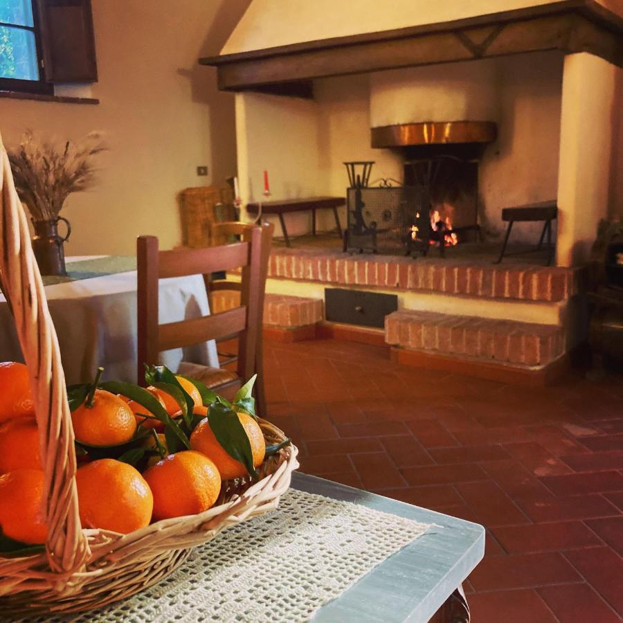 Podere La Chiusella B&B Rapolano Terme Ngoại thất bức ảnh