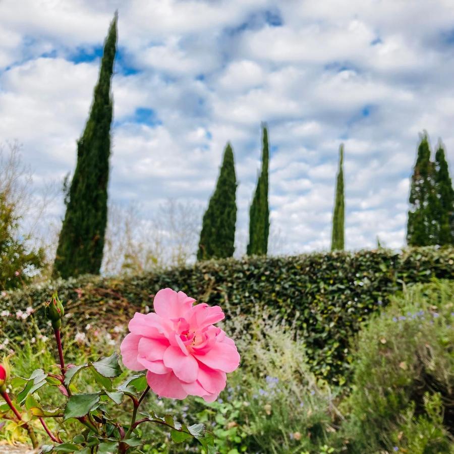 Podere La Chiusella B&B Rapolano Terme Ngoại thất bức ảnh