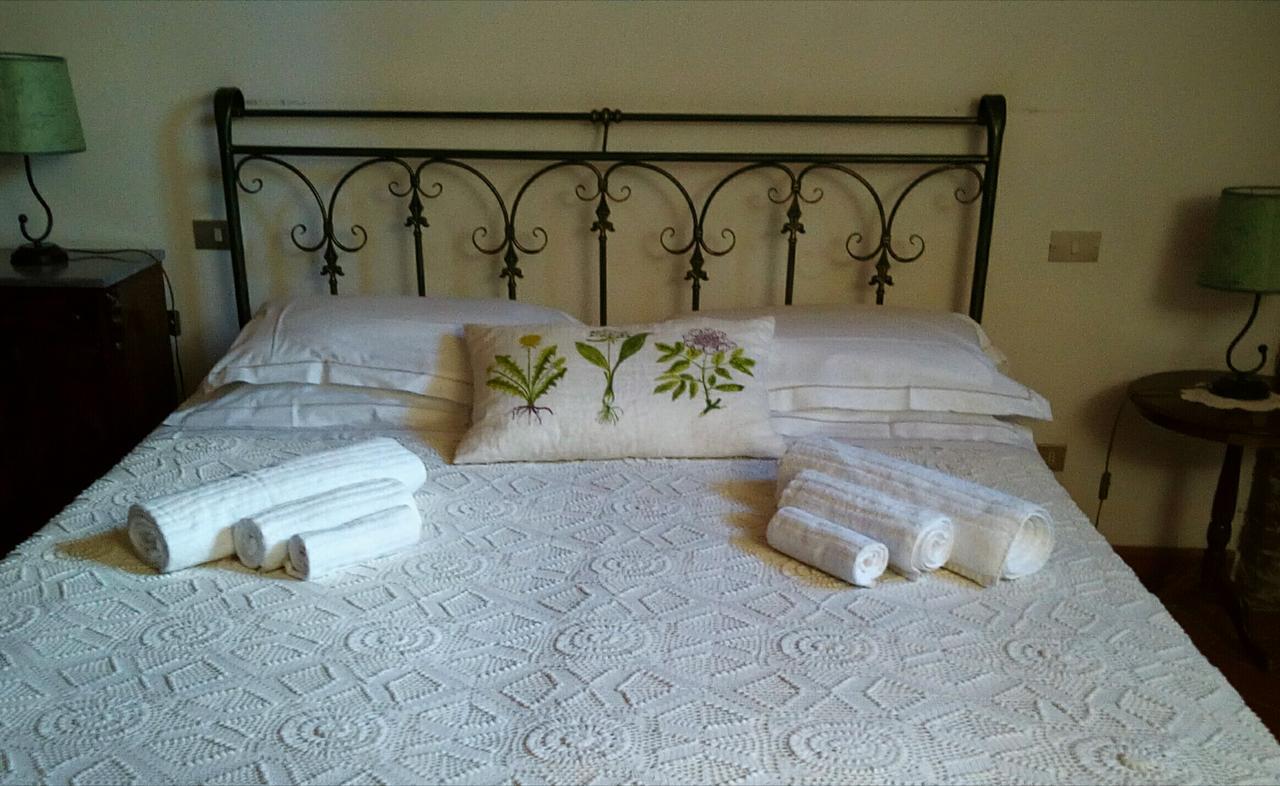 Podere La Chiusella B&B Rapolano Terme Ngoại thất bức ảnh